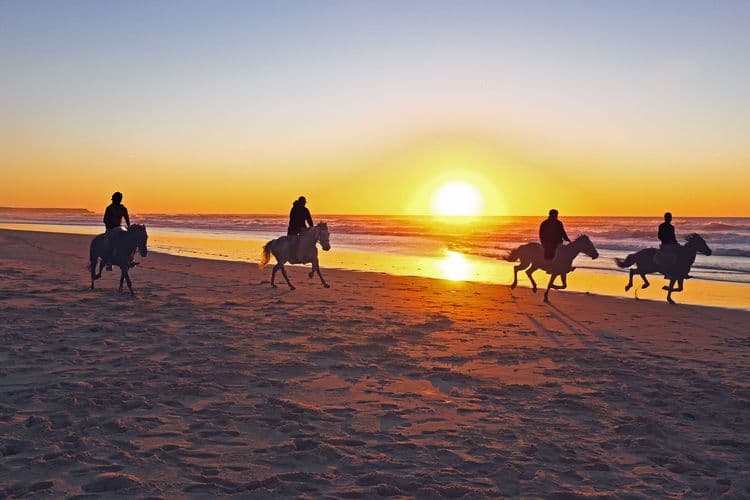 Beach Cove Horseback Ride