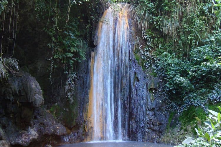 Mineral Baths in the Diamond Botanical Gardens