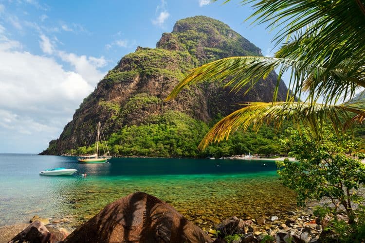 Pitons, Botanicals, & Bays From Land to Sea