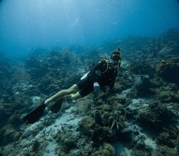 Sail & Snorkel Castries by Catamaran