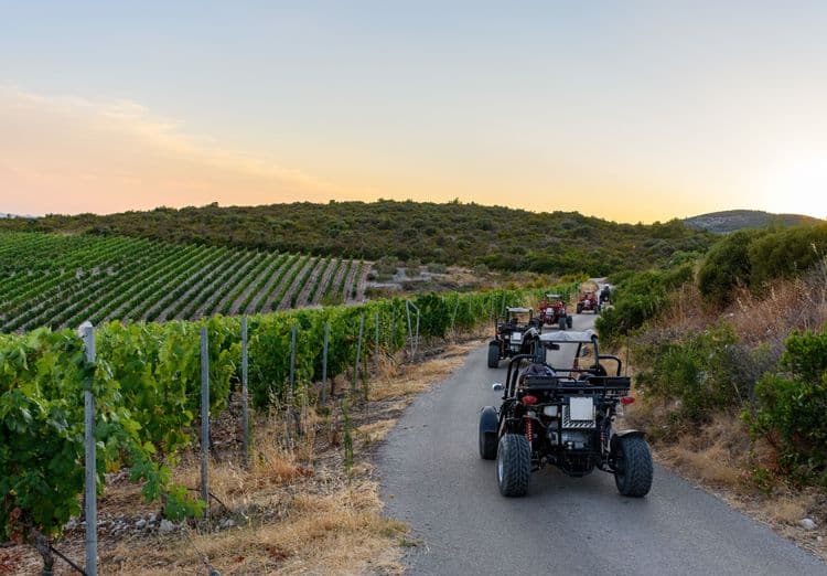 The Ultimate Buggy Safari
