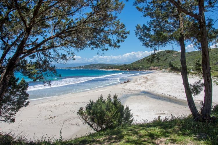 Sanguinaires Beach Life — Half-day at Le Week End