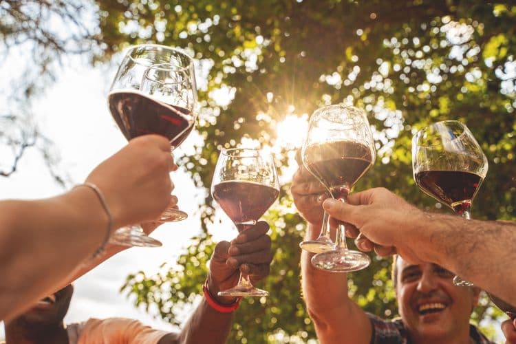 Exquisitely Nice & Cultivated Wines