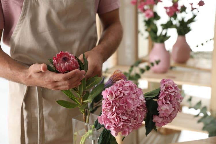 Scents of Provence Botany Workshop & Tour