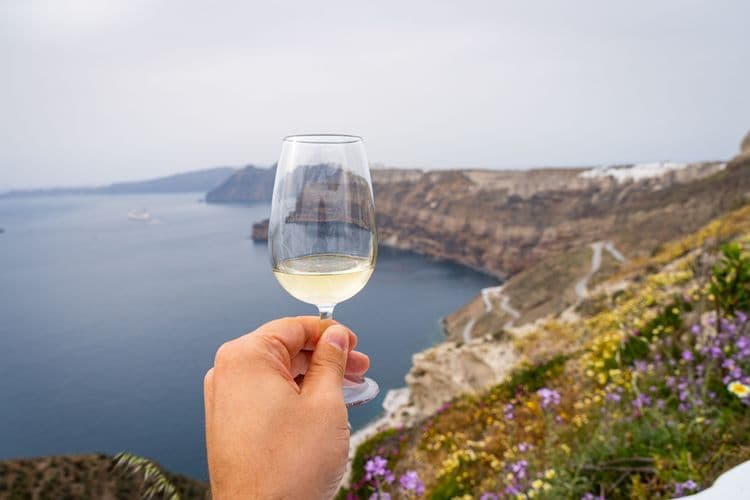 Two Wineries & Oia on Your Own
