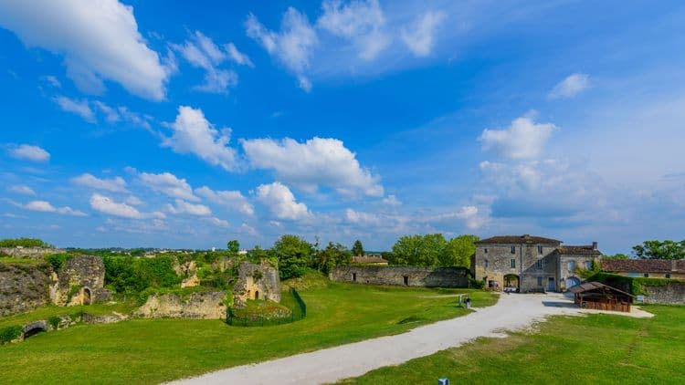 Guided Tour of Blaye with Art Gallery Visit and Wine Tasting