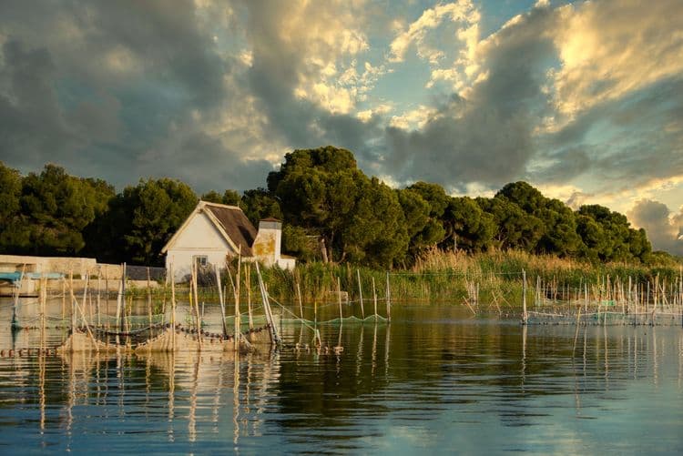 Sailing Albufera Lagoon and Paella Lunch