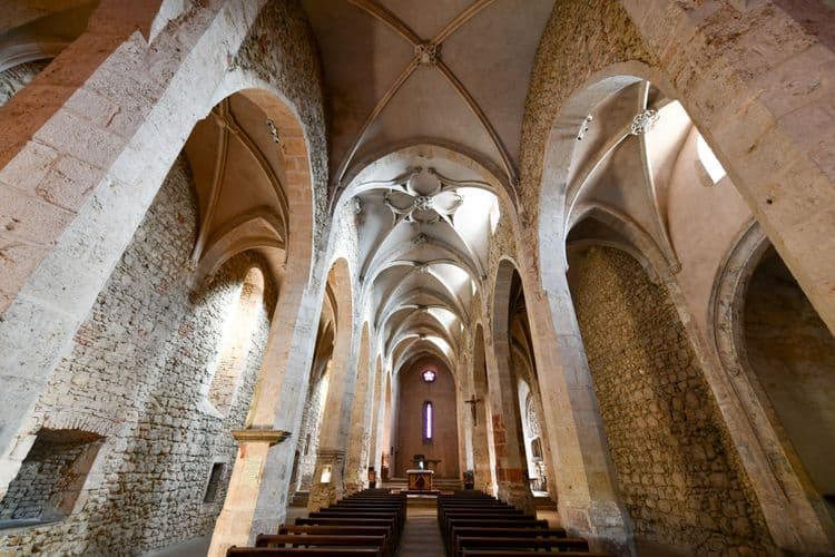 Medieval Pérouges