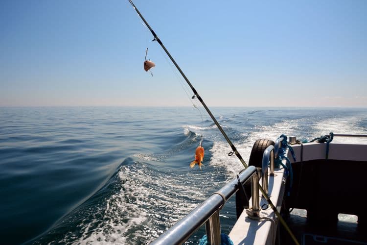 Fishing Charter