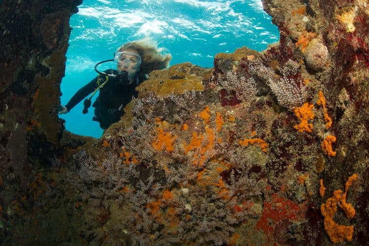 Sapona Shipwreck Swim and Snorkel