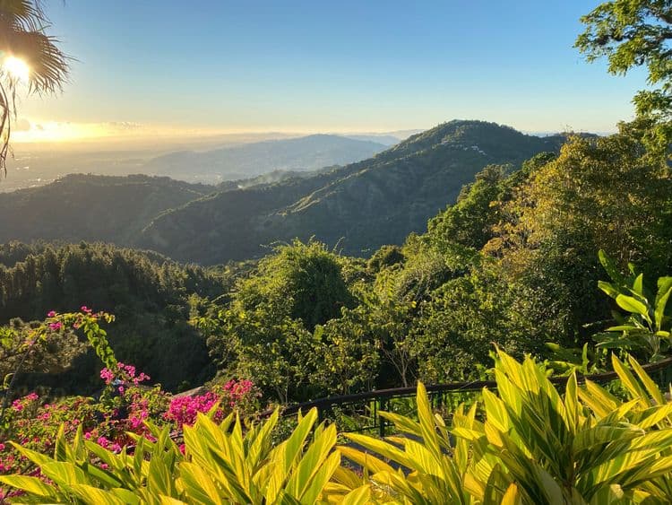 El Yunque Rainforest Tour