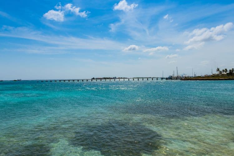 Sea Trek At de Palm Island