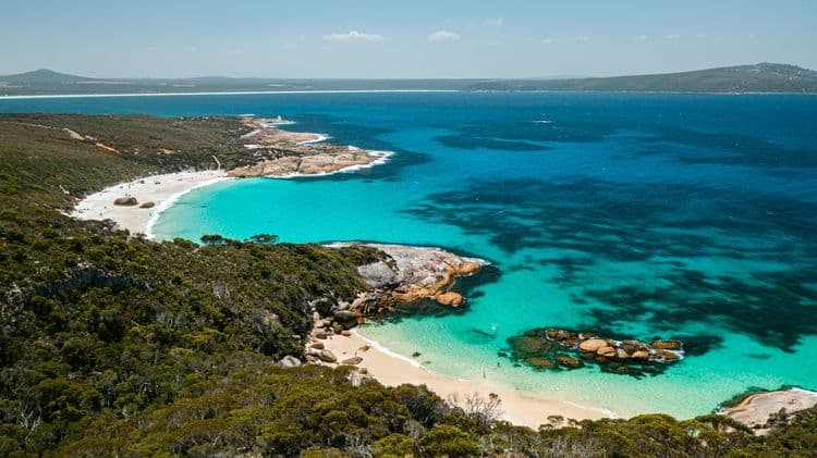 Coastal Highlights & Whaling Station