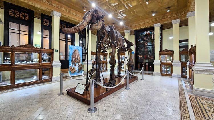 We Love Mexico: Mineral Museum, Village Of Playa Grande & Traditional Country Fair