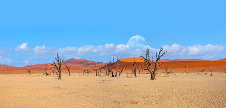 Living Desert By Off-Road Vehicle