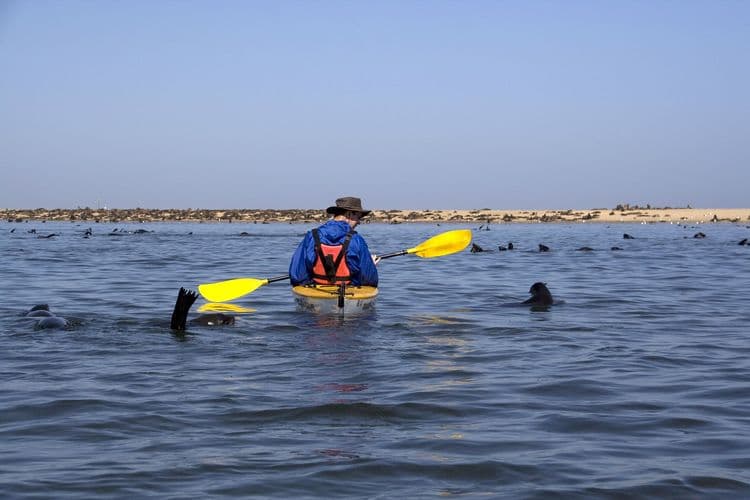 Pelican Point Kayaking