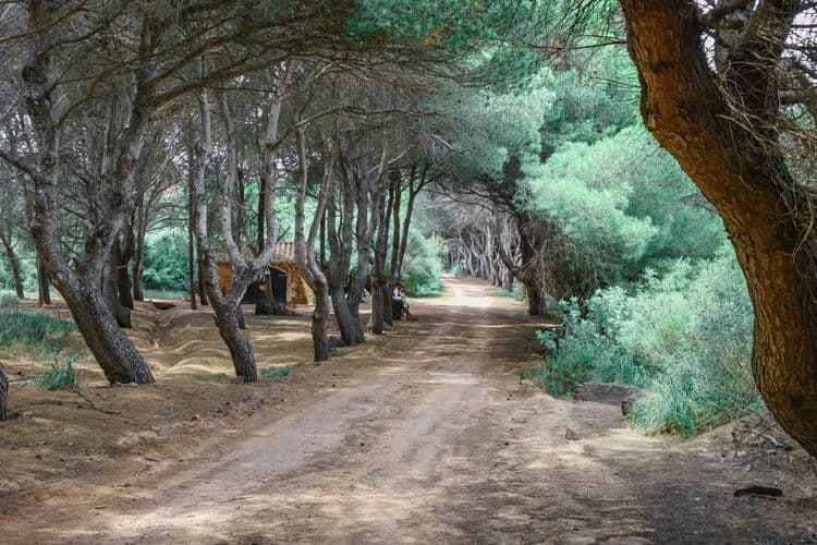 Minorque Retour à la nature