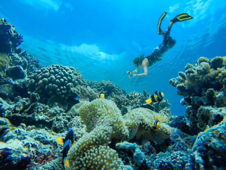Helmet Dive at Coral World Ocean Park