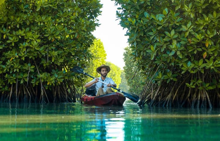 Kayak, Hike & Snorkel