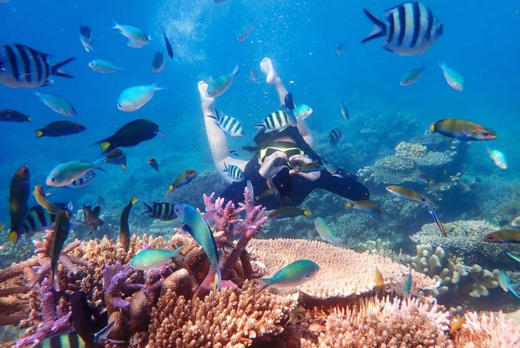 Two Reef Snorkel