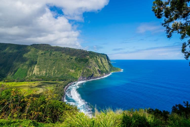 Secrets of Hamakua