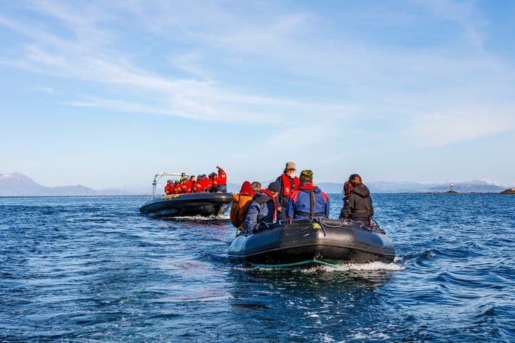 Rib Safari