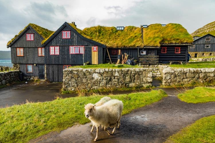 Kirkjubour & Torshavn Walk