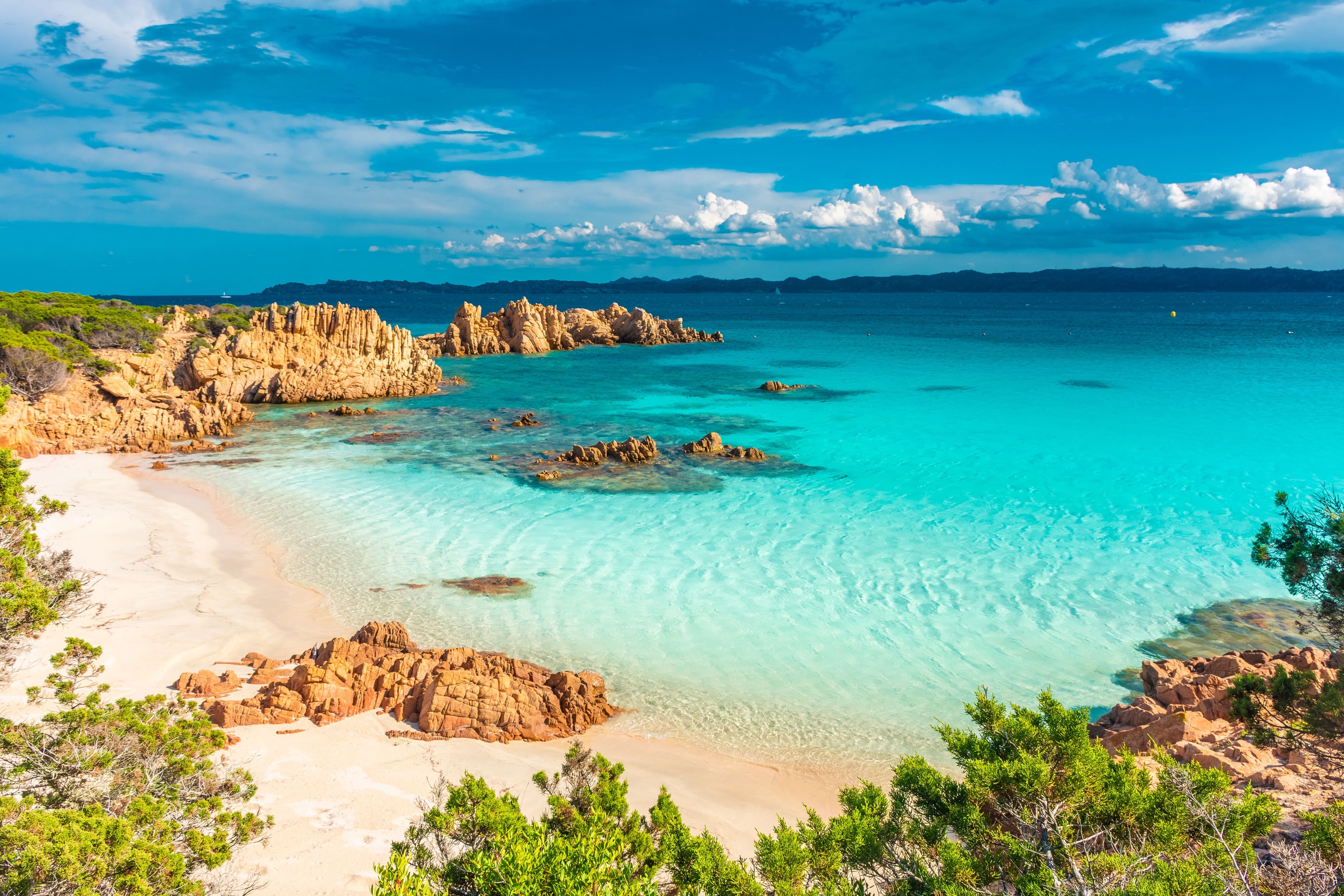 2024 Black Friday Cruise Deals