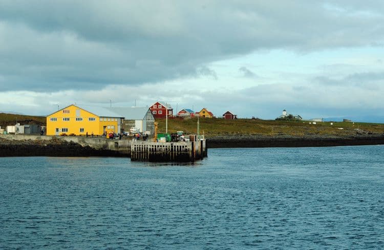 Easy Breidafjordur Archipelago Cruise