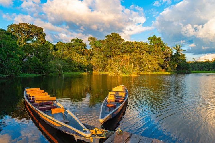 Rainforest Canoe & Nature Trail