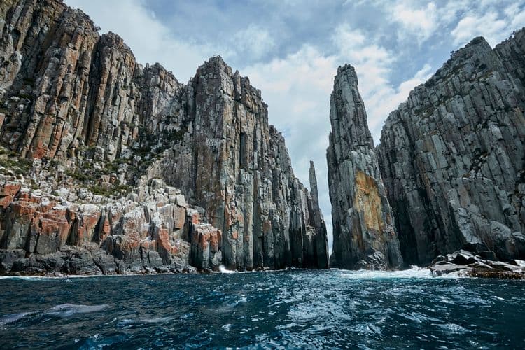 Tasman Island Wildlife Cruise