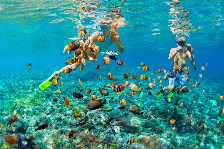 Snorkel By Boat At Todos Santos