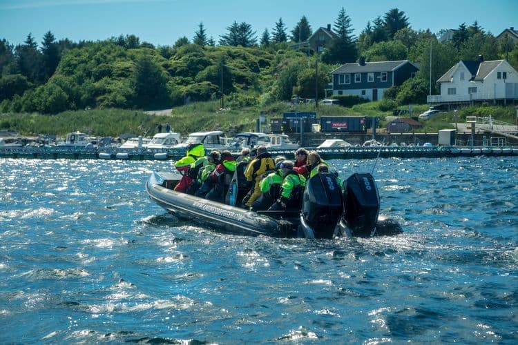 RIB Adventure