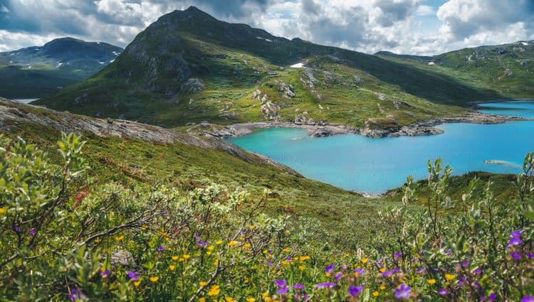 Jotunheimen National Park & Sognefjell Mountain Pass