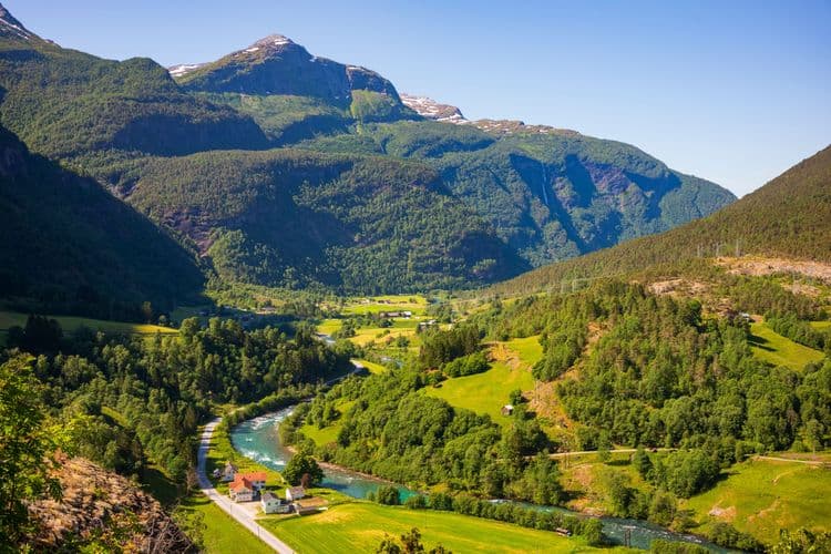 Walking with Llamas in Skjolden