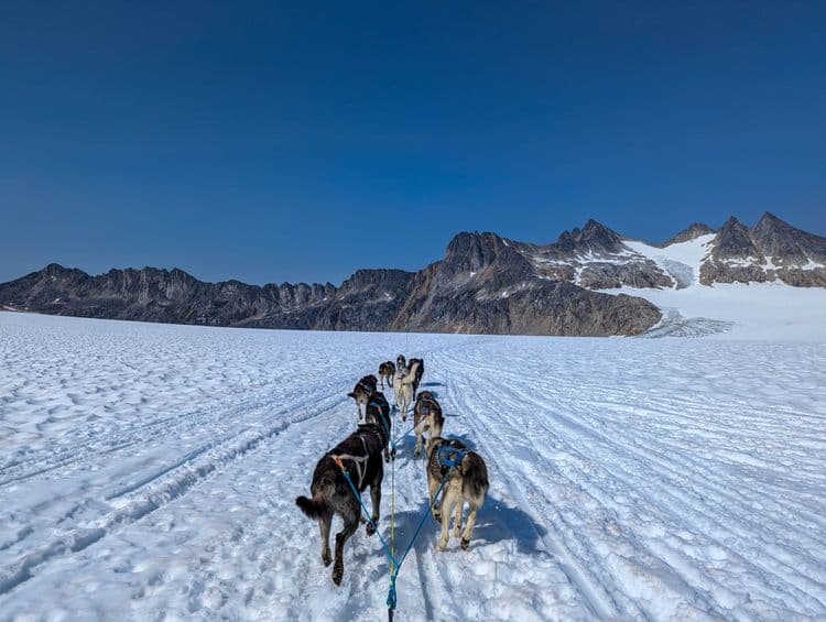 Gold Panning, Sled Dogs & 40 Degrees Below Zero Exp (Wheelchair Accessible)