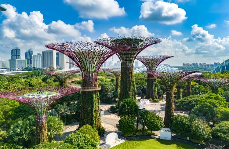 Gardens By The Bay & Marina Bay Sands Observation Deck