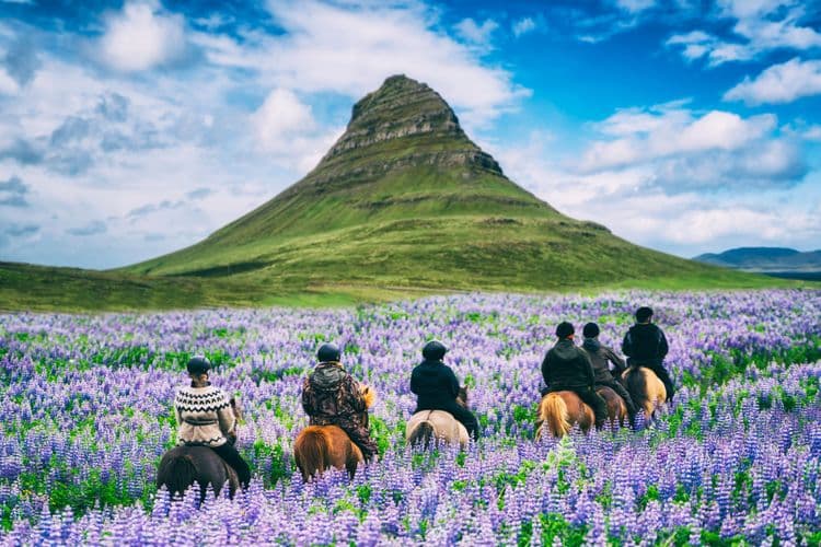 Iceland On Horseback