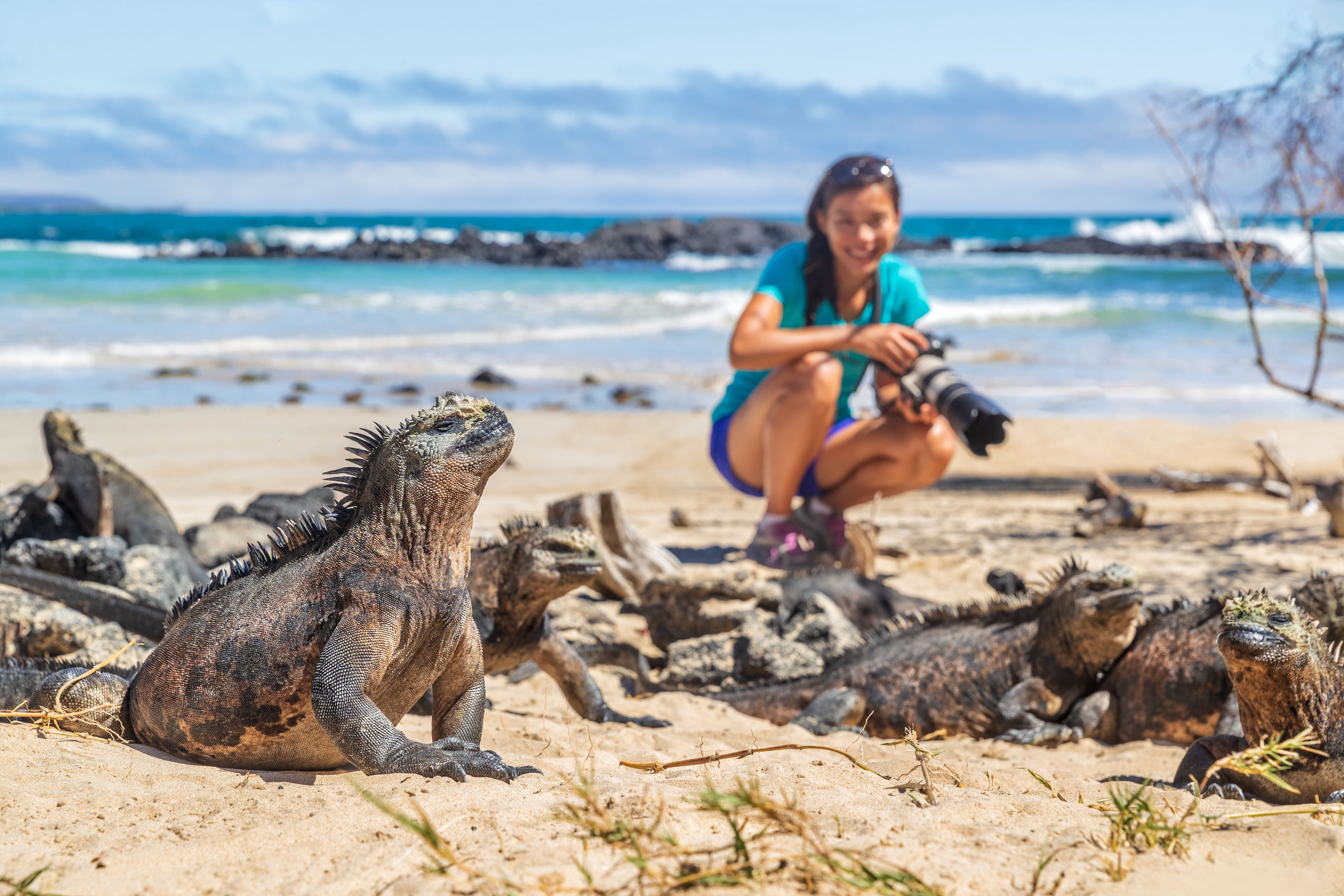 Book Cruises From Isla Baltra Galapagos Islands Online And Save