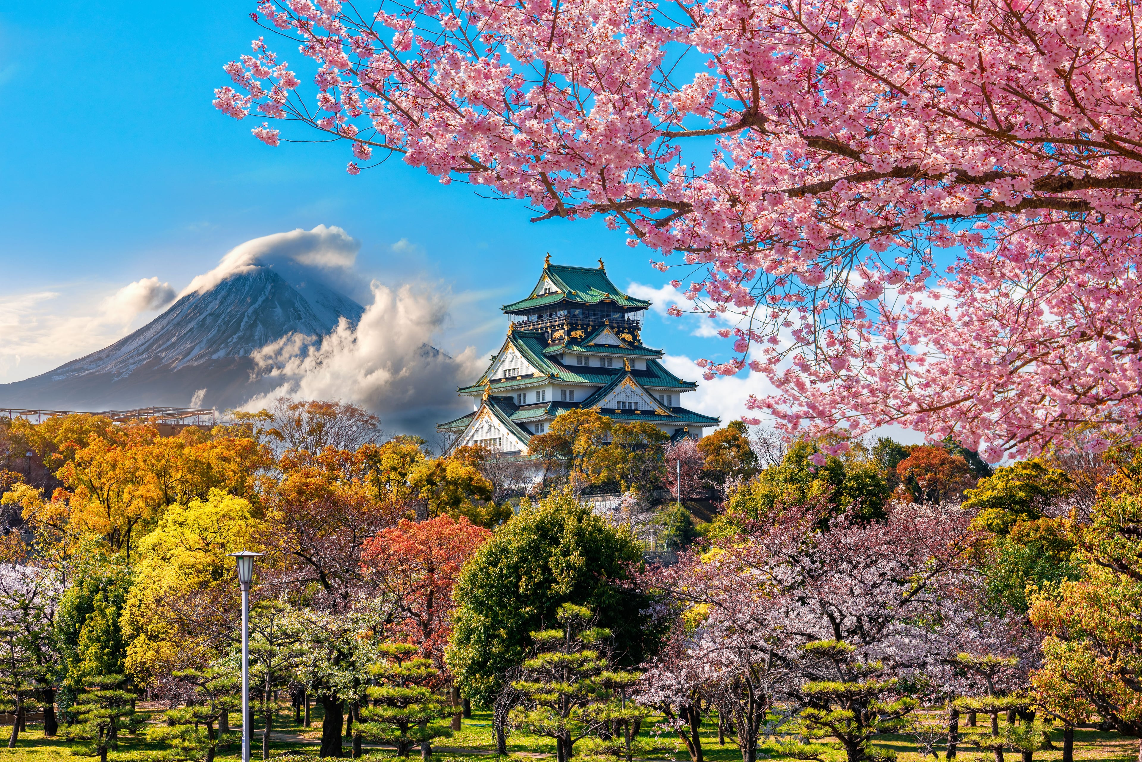 Book cruises to Japan online and save