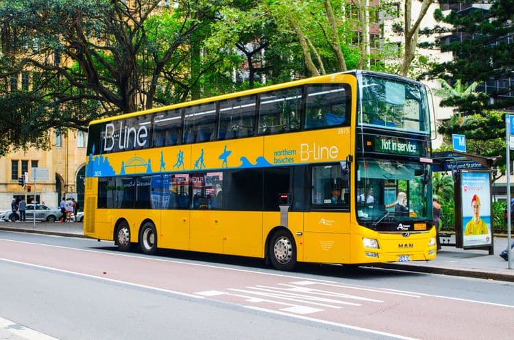 Hop In Hop Off - Sydney Intransit
