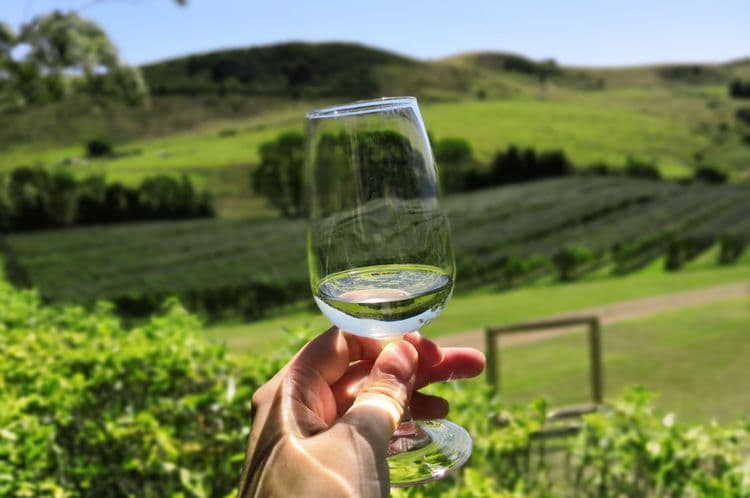 Waiheke Island Wineries