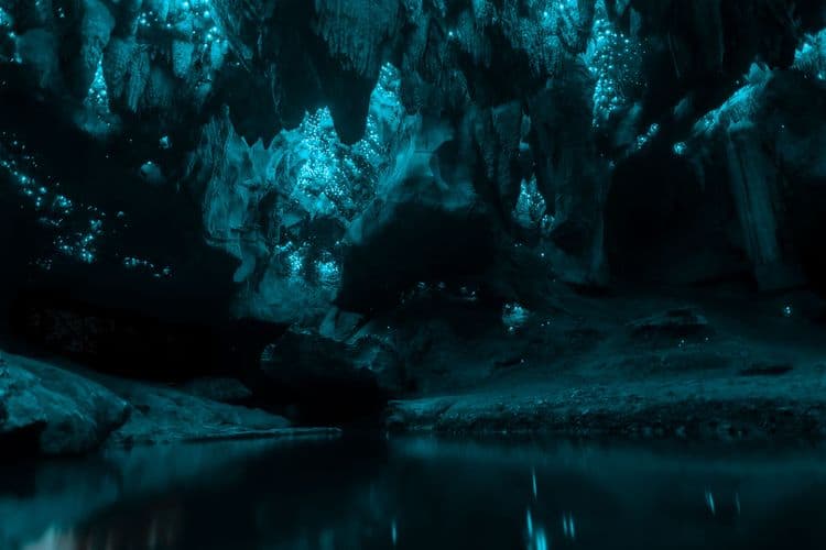Waitomo Glowworm Grotto