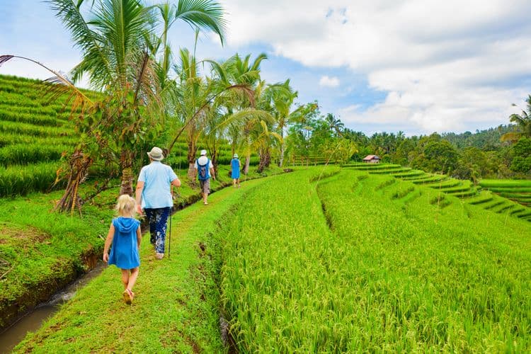 Singaraja Countryside