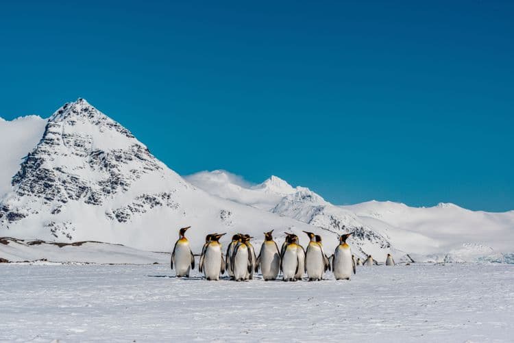 Actividades de expedición con el equipo de expedición de Silversea