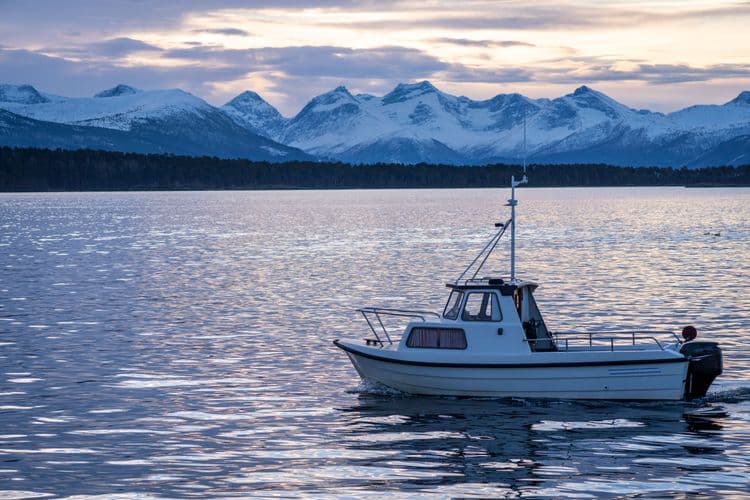 Pesca privada y comidas en la naturaleza