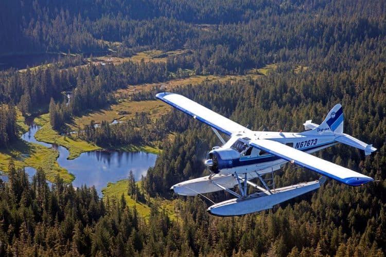 Aventuras y turismo de vuelos del oso de Alaska