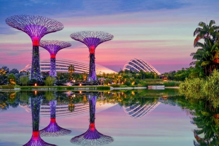 Gardens by The Bay & Observation Deck at Marina Bay Sands