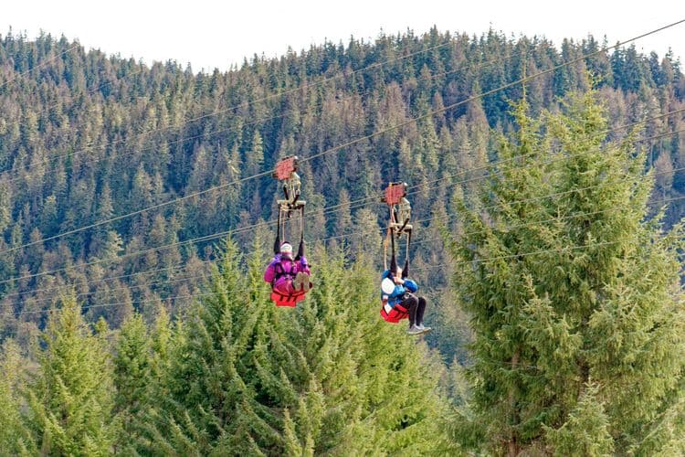 Scenic Mountain Ascent & World's Largest ZipRider