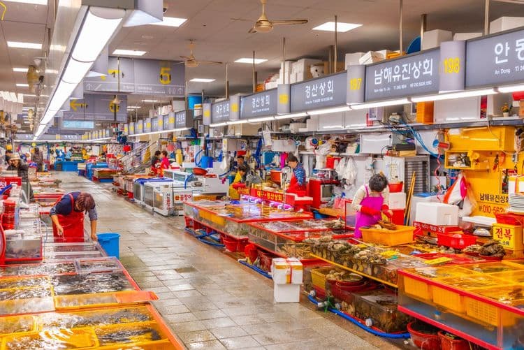 Mercados locales y cocina práctica